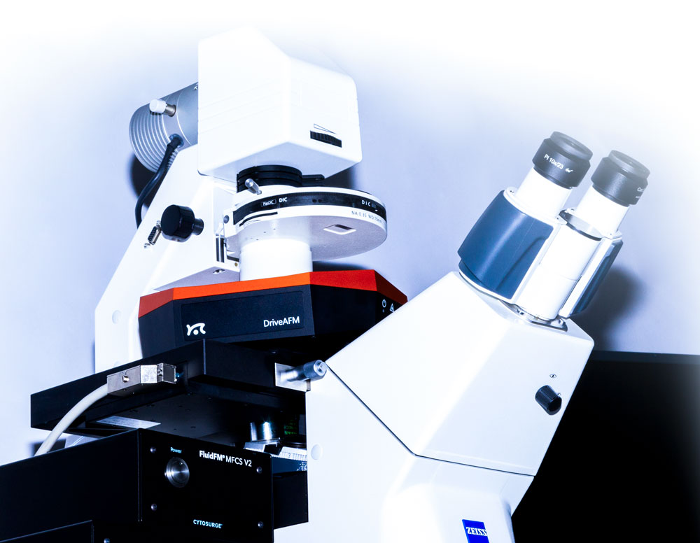 FluidFM Fluidic force microscopy